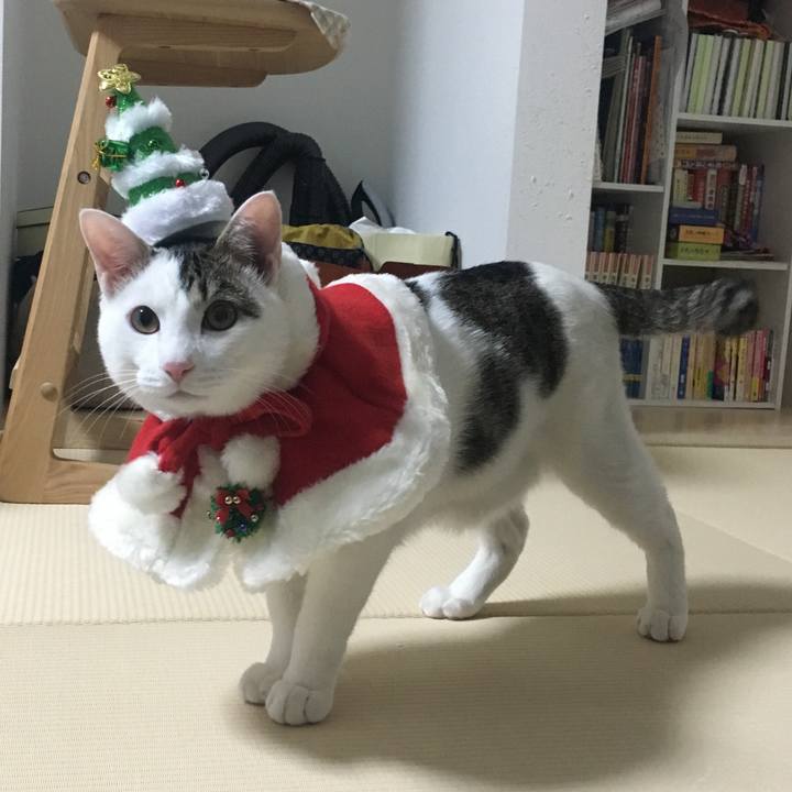 E17fd992 3be7 4154 8778 80c5d3edd255