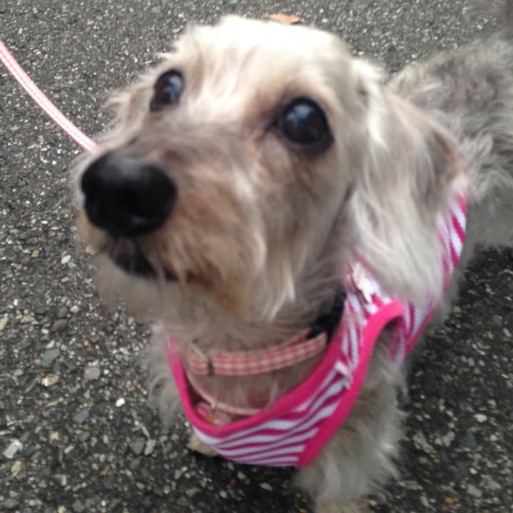 E1801711 9056 4f78 84a1 ad4fbb4551f8