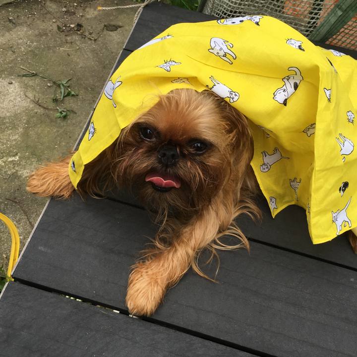 E1801770 48a6 4722 bdcc a70c34f373af