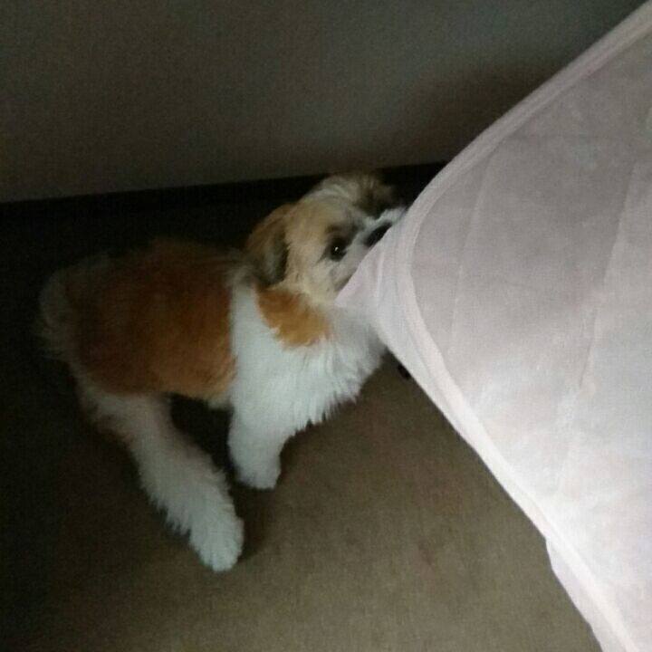 E18093cd 523a 4f74 93e9 91162666faa4