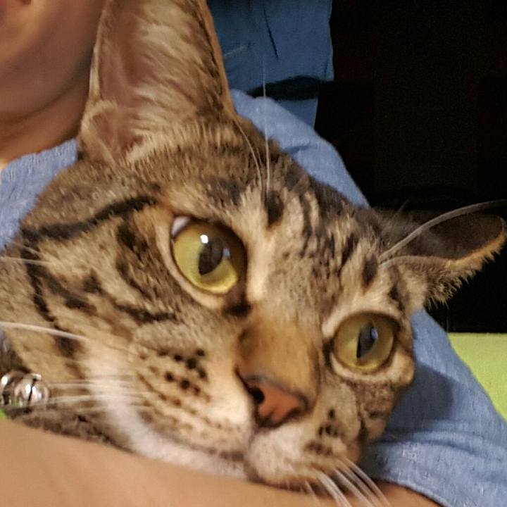 E1818379 b824 4a61 af31 ea98a3c85003