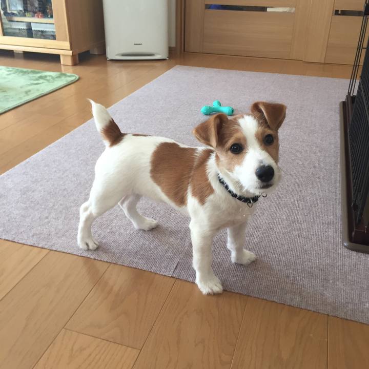 E1818e25 e89f 41e9 a9ef 80a2be31101f