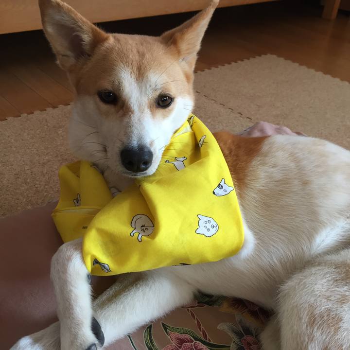 E18195f1 1b3d 4d34 8dec 5740df2a5504