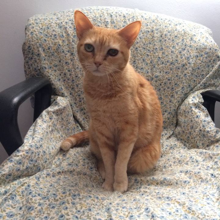 E181f38e 30b8 4d1f ac05 2a4ffbfb299f