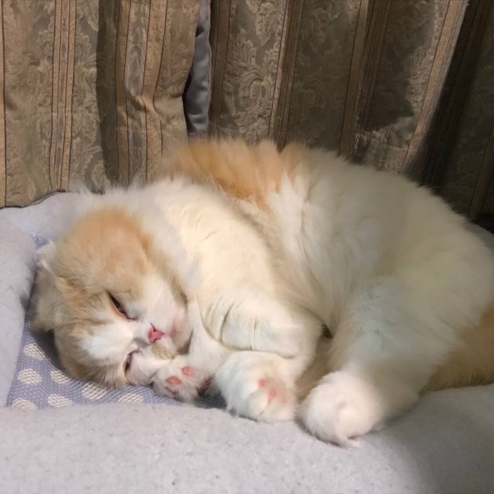 E182faf9 7233 4181 8299 5bacc4677376