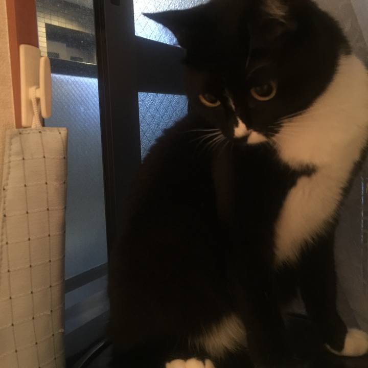 E1833113 3879 4fb8 856d 38a30abd3091