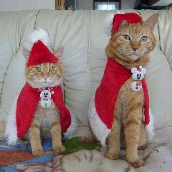 E18385c1 1726 4262 9f88 e7a8550db4f1