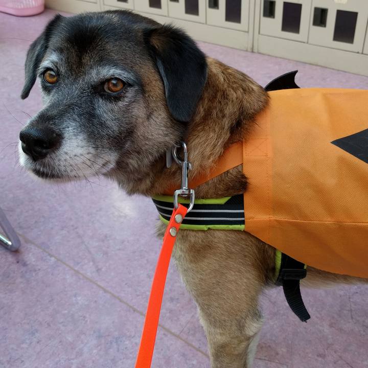 E183a0e6 d60d 474b 8cdd 4455c7198b40