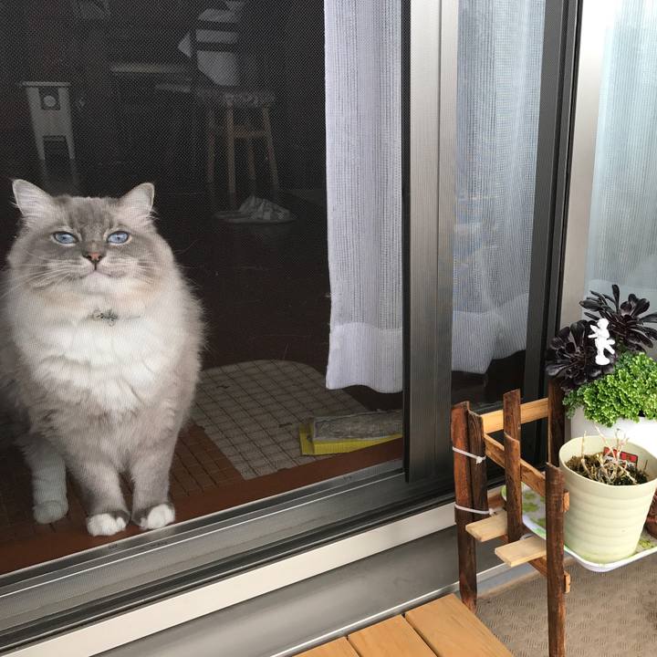 E183aabe bb8d 4e42 9e57 8215acf8523b