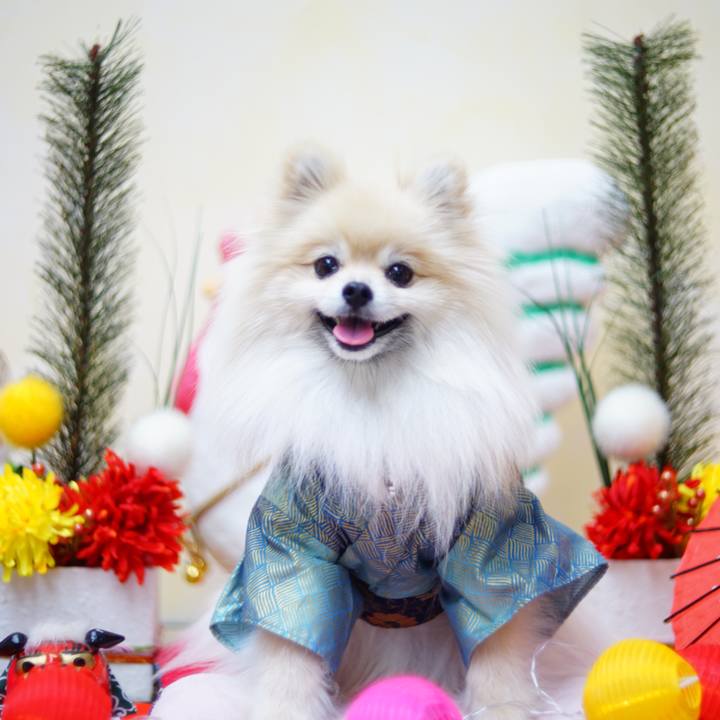 E183c99b 91d4 430e bf10 44ebf3d72d9a