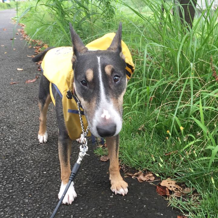 E183e0bb 9abc 4aa2 b828 961b1fa396c6