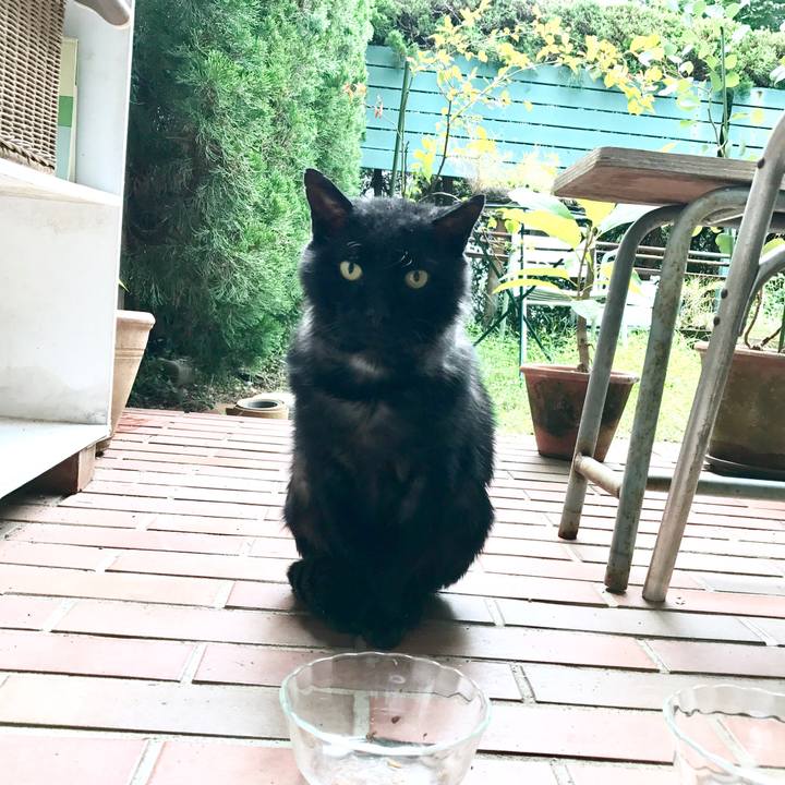 E184178b f788 47cc a7f5 5f31581e2c10