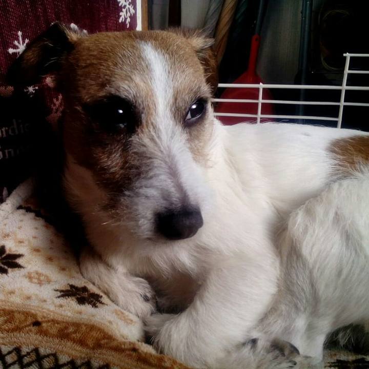 E1844f70 5e57 4bd4 a986 63661e1c7171