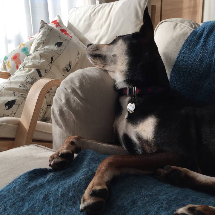 E184cad5 1105 4323 9670 4cf585d9a319