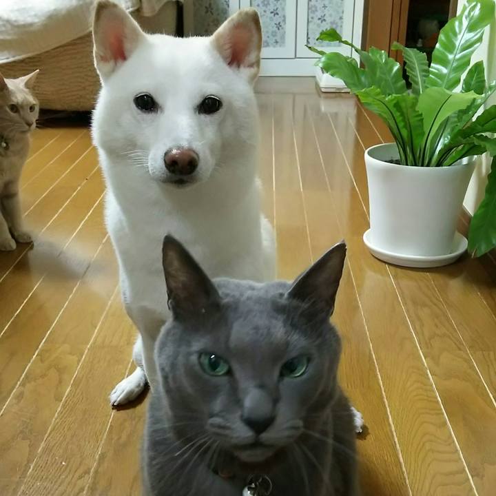 E184eec2 7d8d 4c80 8789 76394bc4b679