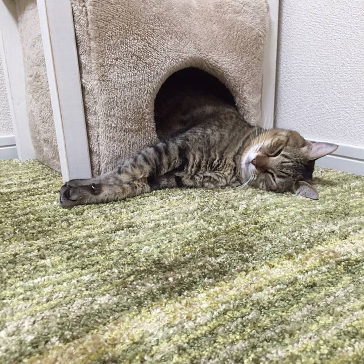 E1853cd2 1f20 46ff af5e 34901c1e0f11