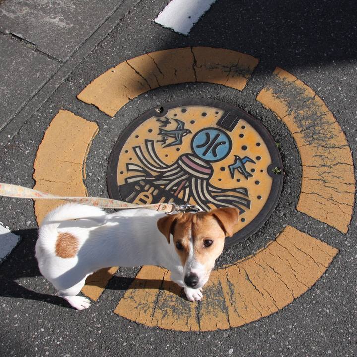 E18574d4 557c 452f 8d63 9210fa2b96a5