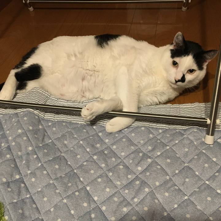 E1859ef2 4a28 4c6d 8ffb 5a24c3982ad3