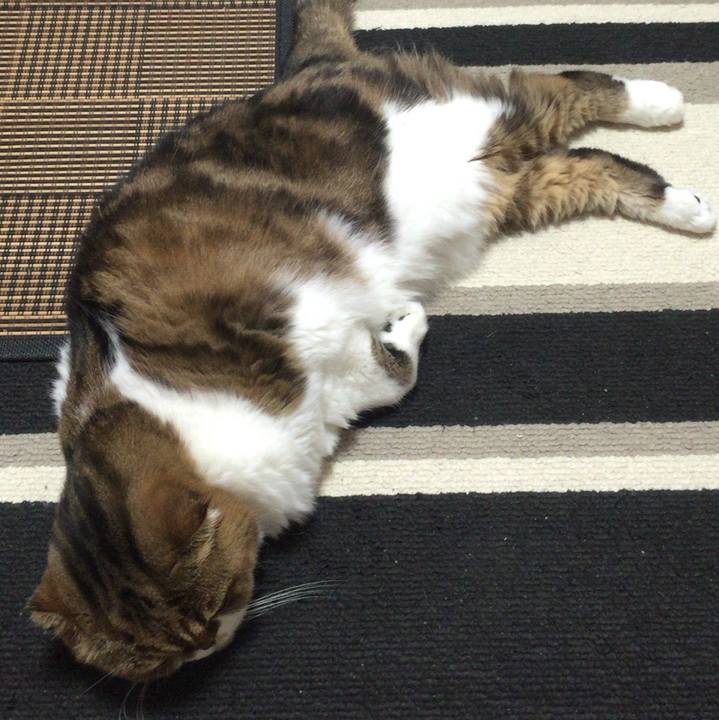 E186410f 83f4 44e9 b4ee 1e8ae4a13a57