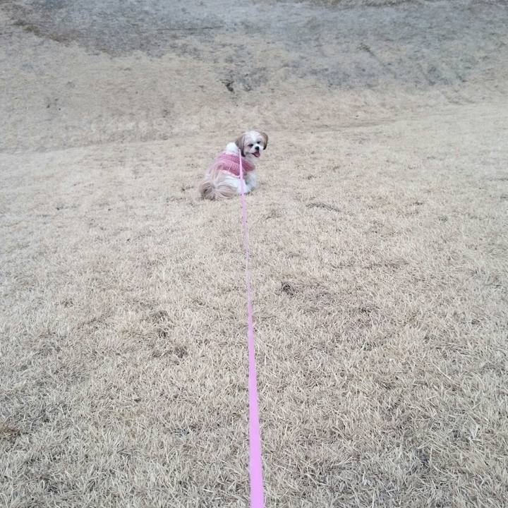 E186cf0e eb1f 4691 af9e 4504ffbb7718