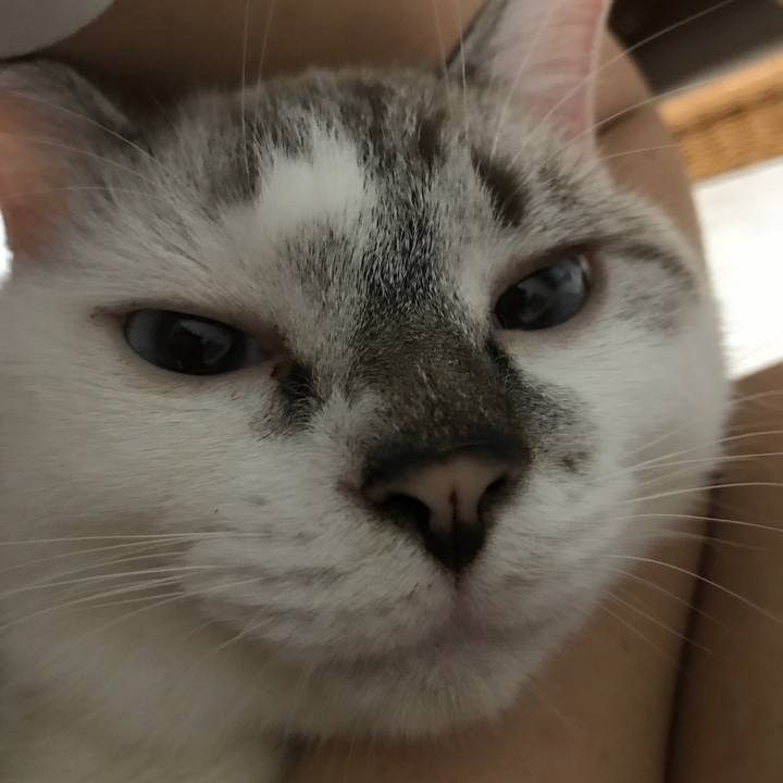 E186d499 0954 4f1a 822a e06c491fbf83