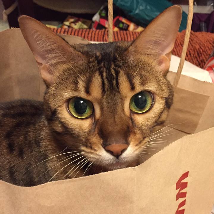 E187191a 1538 4e68 80e3 5974b7eca90d