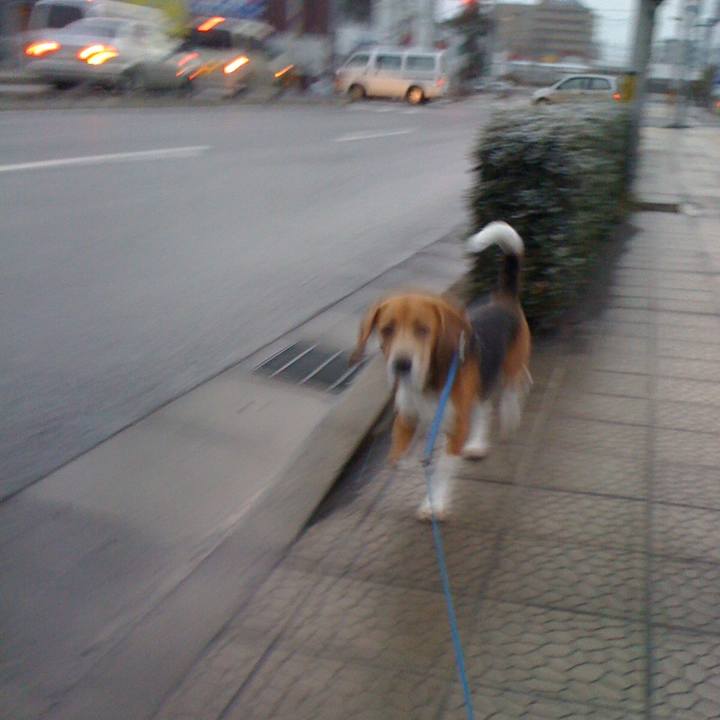 E187b6ef 2edf 4bcb ad7f acc8a7d5aba1