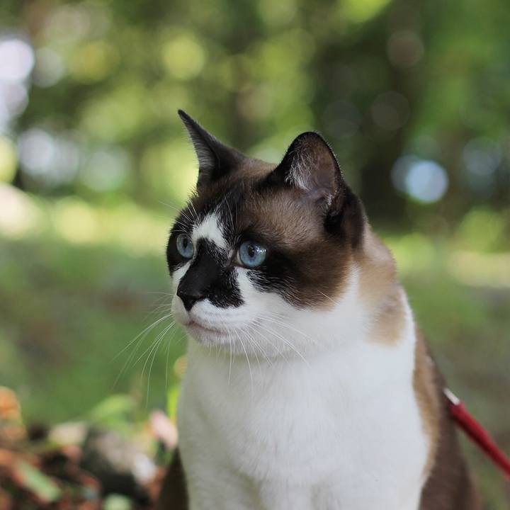 E1885830 2ac9 4d42 b64c 9da6eaa32867