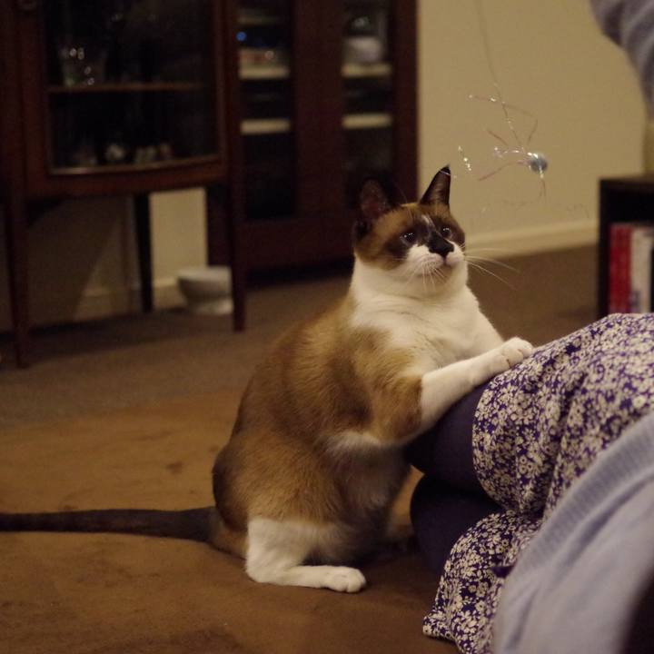 E1887005 bfda 4576 a453 a008991a721f