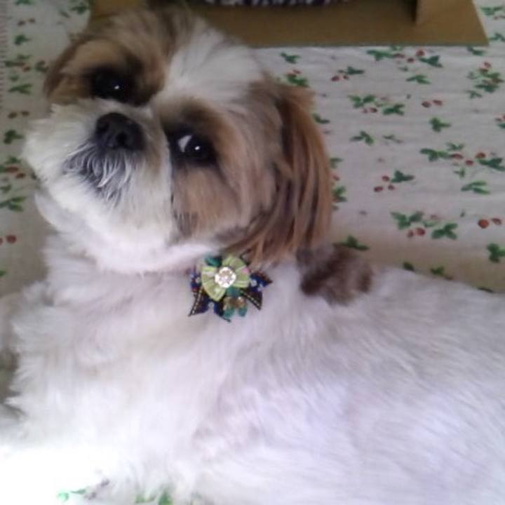 E18886d1 28ab 44b2 9c49 3010da9b551d