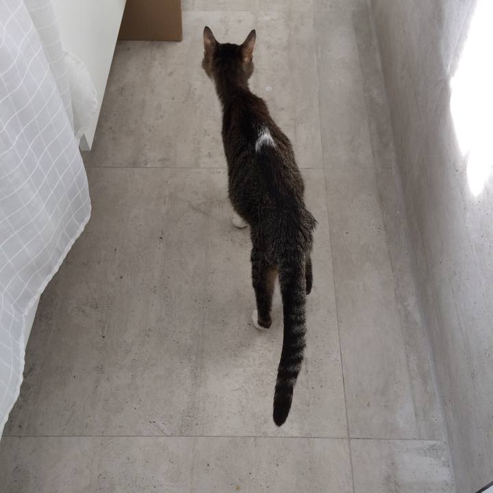 E188b547 ab35 4094 82c2 54eb088249a5