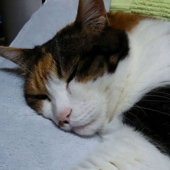 E189d4c5 4c8b 4754 9a98 a25b2ac0e786