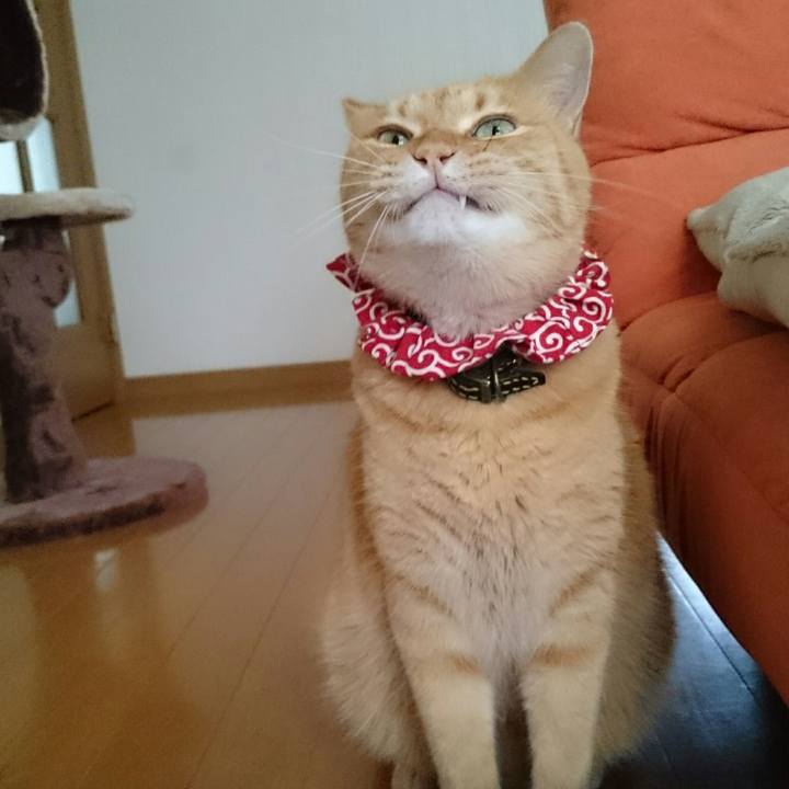 E18a1c0b 0d96 4b85 a618 2cfaf350e6d0