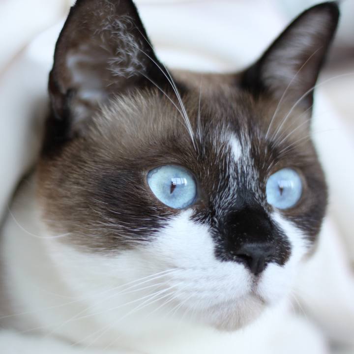 E18a3fc2 5653 4dc1 a485 9d27a19156f9