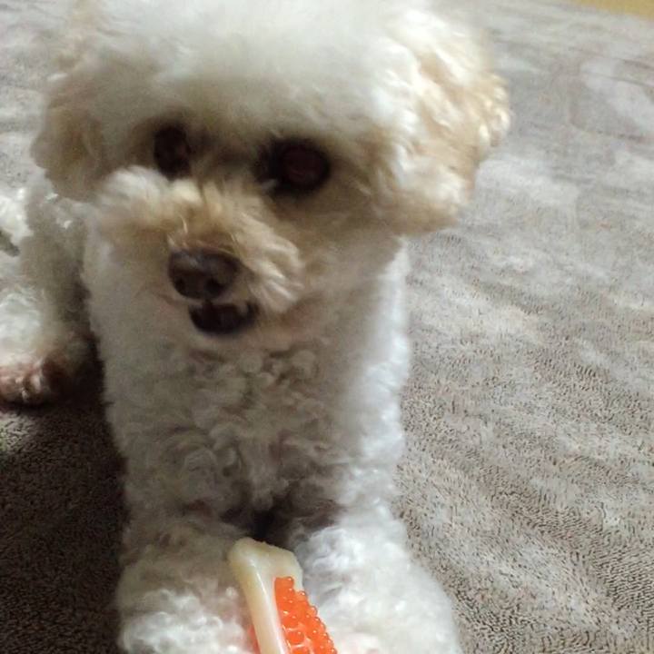 E18a7b90 36ae 48a8 9e63 ed4f10864a28