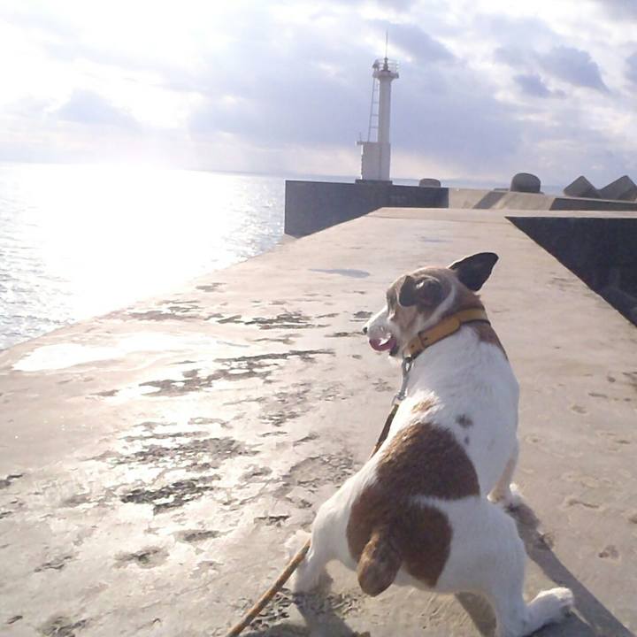 E18b1112 4502 461b a4d3 b40ef49ae0e2