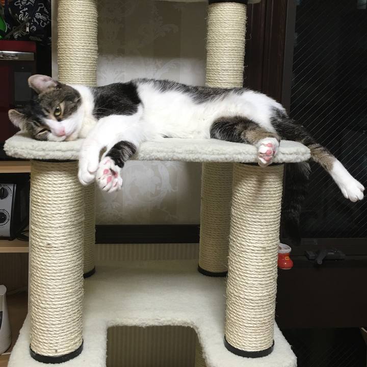 E18c9cad 5a8e 4dda a815 3dd6e7f5065a