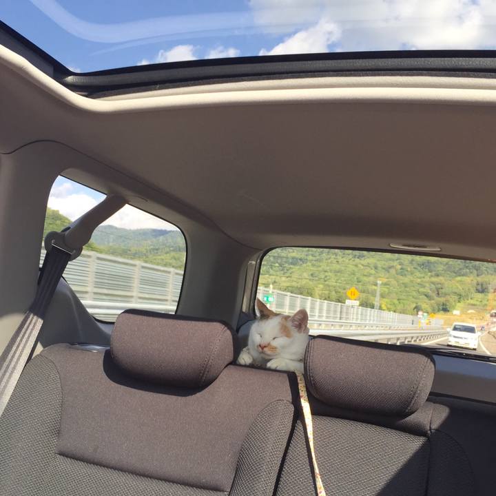 E18dc42c e622 441d 9f79 16c2817ee1e6