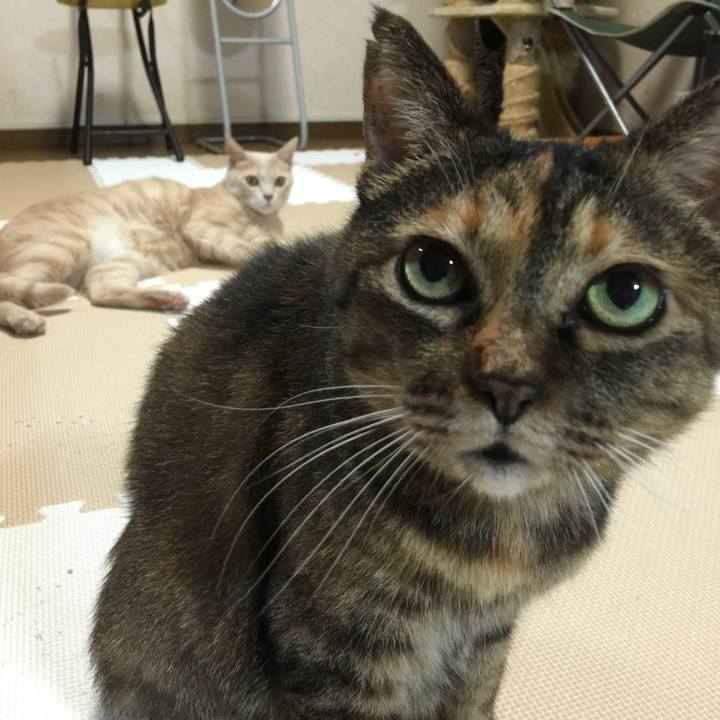 E18de62a 635a 4f63 87a0 216dc8e335af