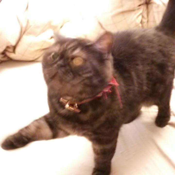 E18e79d4 bf8d 402a a1e4 710f14ebbbc9