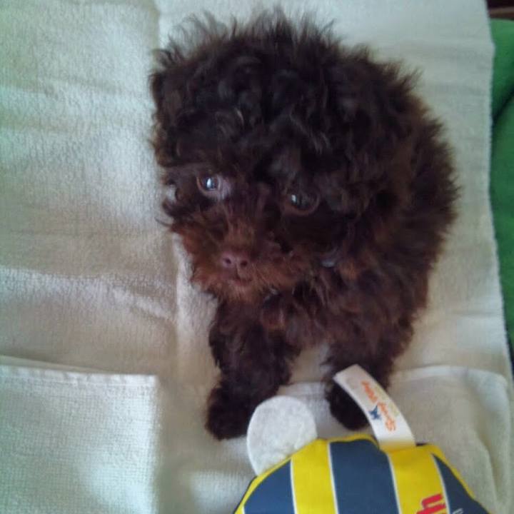 E18e9d52 d091 4d97 9af3 7d6a267d4e41