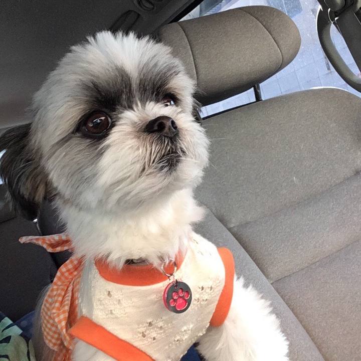 E18ec681 607b 4334 b282 9751a116faf3