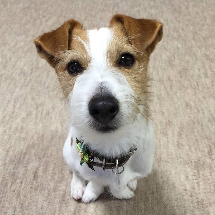 E18eee33 f712 4e62 a429 c5c3a8efb850