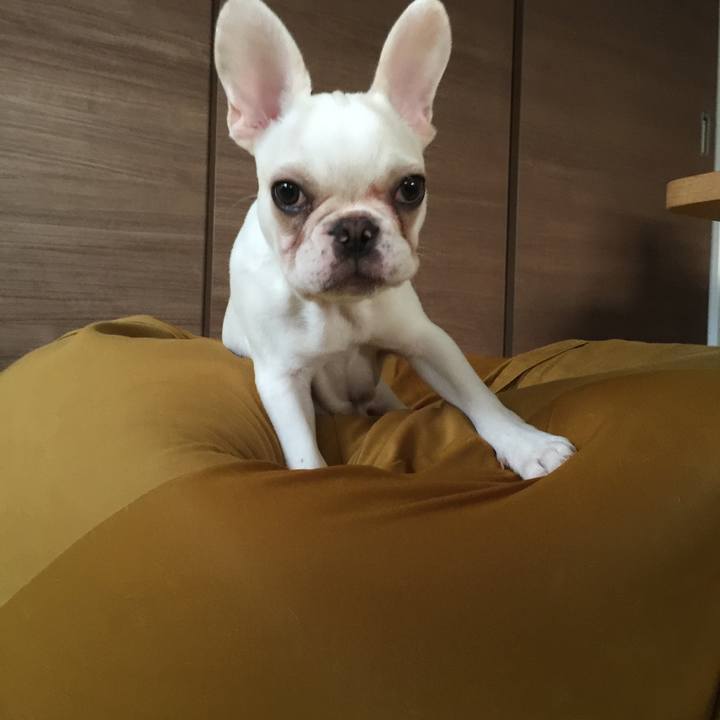 E18ffd76 bde2 4e99 83a0 48bf9a85dc71