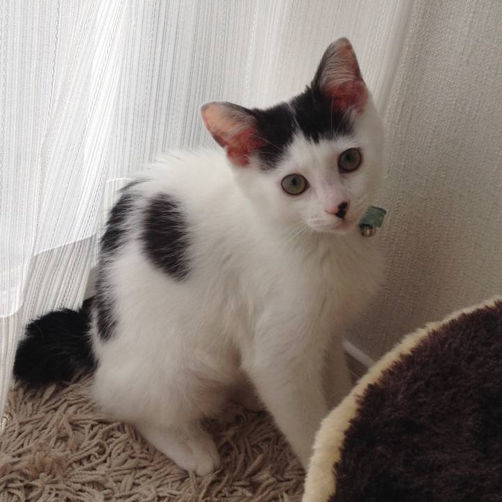 E1905cc2 f34f 4004 9c40 46cf3960ff7f