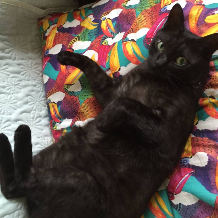 E190b542 8375 4df3 92dd d41649d1241c