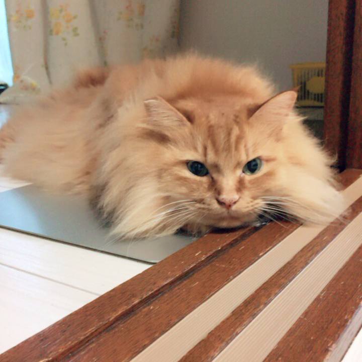 E190fcc6 3c7a 4636 a2a0 cd106f130be4