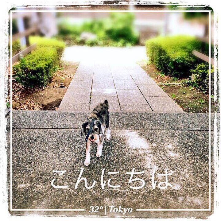 E1910e39 fefb 4052 86d6 3e62d11e554d