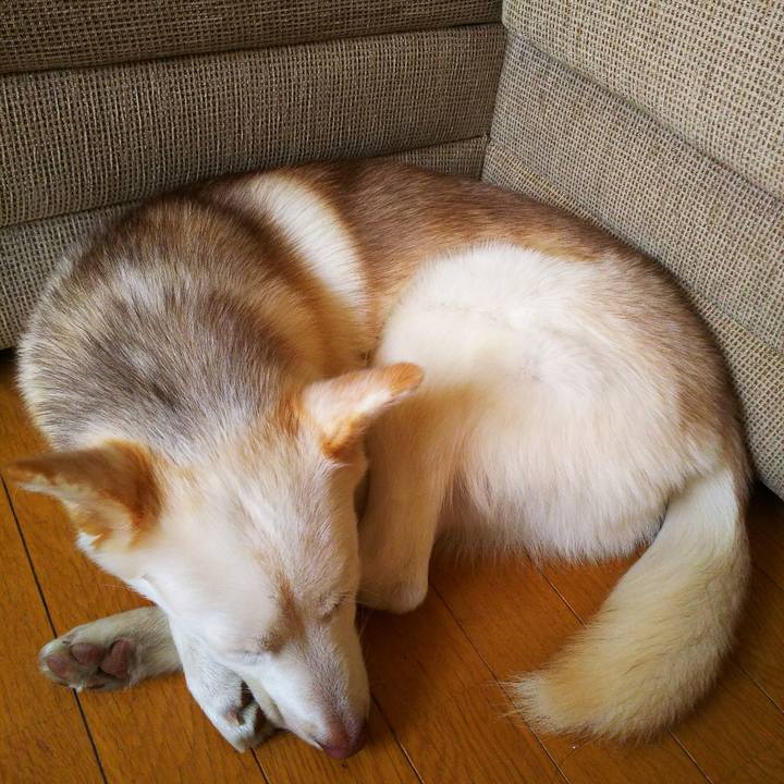 E192d32f b48c 4cbf 8266 80189fe7314a