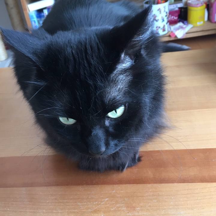 E19322cf 399d 4812 8a40 89c4651f53af